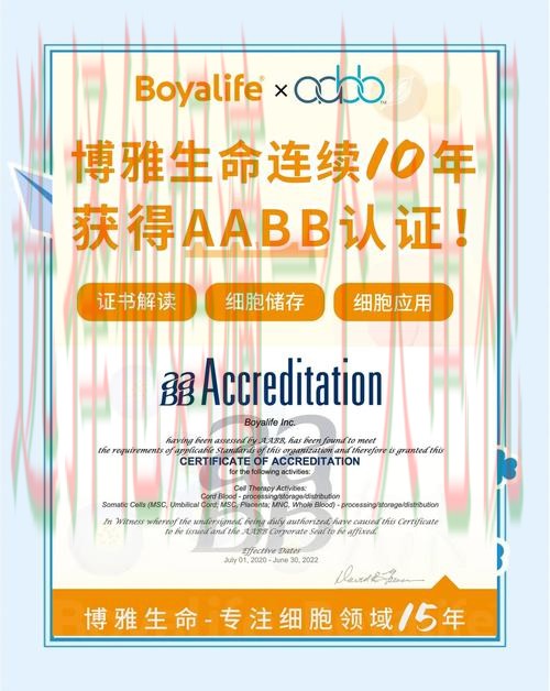 博雅登录链接入口最新版 博雅登录链接入口最新版